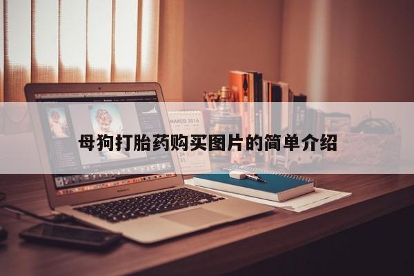 邯郸私人医院卖打胎药母狗打胎药购买图片的简单介绍